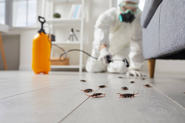 Commercial Kitchen Cockroach Control in Geneva